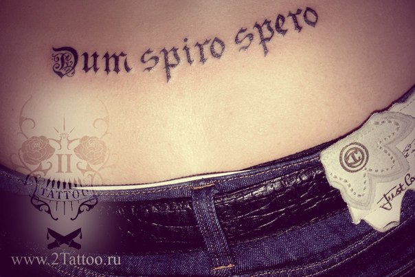 Dum spiro spero «Пока дышу, надеюсь» - Коня приготовляют на 98 Dum spiro spero «Пока дышу, надеюсь» - Коня приготовляют на 96